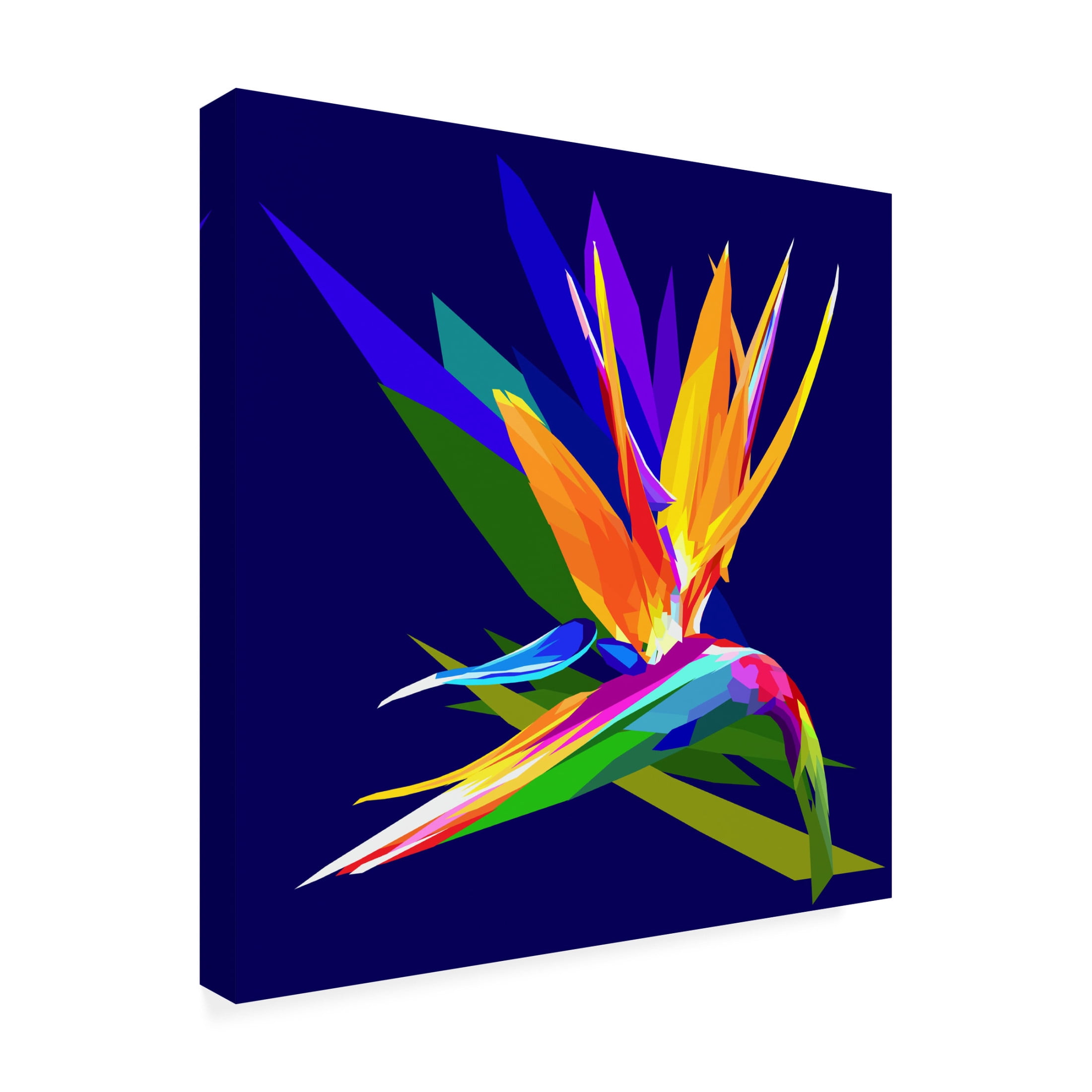 Canvas Wall Art - Surapol Pansanit 'Bird Of Paradise' Wall Art for Living Room, Bedroom, or Office Décor by Trademark Fine Art - 18 x 18 Inches