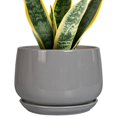 thumbnail image 1 of Maceta de cerámica G EPGardening, moderna, redonda, 18 cm, con drenaje, gris, 1 of 7