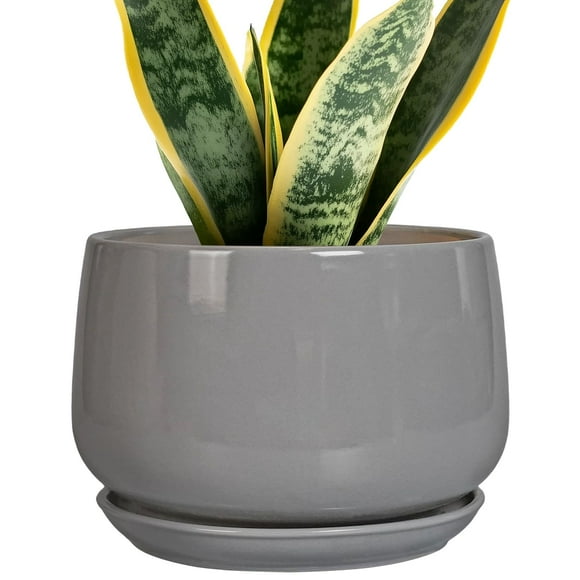 Maceta de cerámica G EPGardening, moderna, redonda, 18 cm, con drenaje, gris