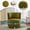 Olive + Velvet + Foam, variant on 360 Degree Swivel Cuddle Barrel Accent Sofa Chairs,Orange