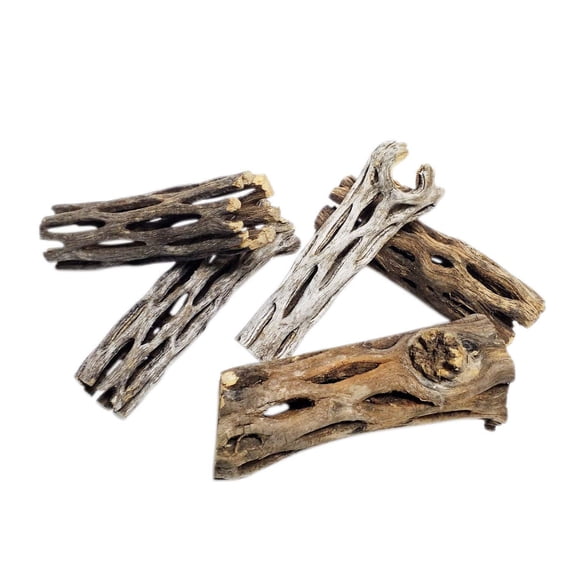 Cholla Wood - 10 pieces 3" Wood for Freshwater Shrimp, ALL Aquariums & Terrariums. Extra Tourmaline Mineral Supplement Balls Included