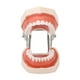thumbnail image 3 of Cinta para el cabello negra Jadeshay varilla para rizar sin calor 28 piezas modelo dental, 3 of 8