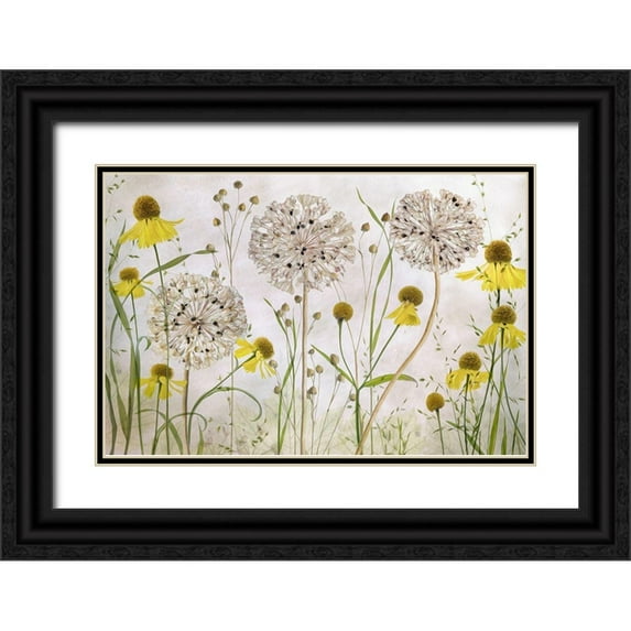 Disher, Mandy 18x13 Black Ornate Wood Framed with Double Matting Museum Art Print Titled - Alliums and heleniums