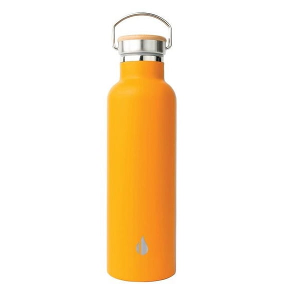 Elemental Classic Insulated Water Bottle, Leak Proof Thermos Water Bottle with Bamboo Lid and Metal Ring, Reusable Insulated Stainless Steel Water Bottle, 25oz Citrus