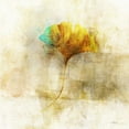 thumbnail image 2 of Roko, Ken  20x20 White Modern Wood Framed Museum Art Print Titled - Falling Ginko Leaf, 2 of 4