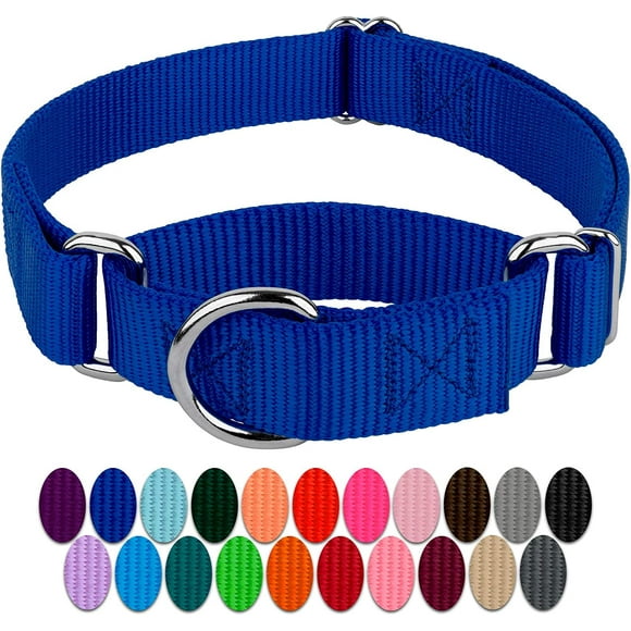 HSHDLDF Country Brook Petz Royal Blue Martingale Heavy Duty Nylon Dog Collar 21 Vibrant Color Options (3/8 Inch Width, Mini), Mini (Pack of 1)