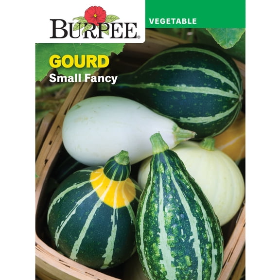 Burpee Small Fancy Mix Gourd