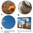 thumbnail image 3 of Designart "Beige Black Llama In Flower landscape Photo" Animals Floater Framed Wall Art Print, 3 of 7
