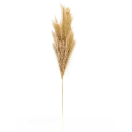 UPC: 0195158590784 | Wispy Pampas Grass Stem by Ashland®