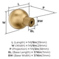 thumbnail image 5 of Amerock Collet 1-1/8 inch (29mm) Diameter Champagne Bronze Cabinet Knob, 5 of 6