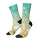 thumbnail image 1 of Balery Starfish And Seashell On The Beach Calcetas Largas con Estampado para Hombre y Mujer – Suaves y Transpirables, Talla Única (US 5-11), 1 of 6