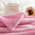 thumbnail image 5 of Solid Color Facecloth Blanket Thickened Double-Sided Fleece Bed Sheet Office Nap, 5 of 5
