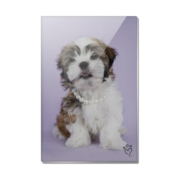 Shih Tzu Dog In Pearls Lavender Rectangle Acrylic Fridge Refrigerator Magnet