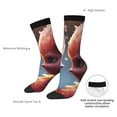 thumbnail image 2 of Yiaed Cute Red And White Elf Print Great elasticity Crew Socks Sports socks for Men and Women, 2 of 5
