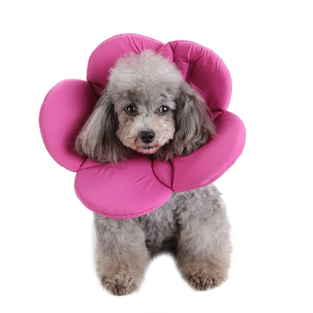 Oioii Pet Protection Collar for Dogs,Cute Flower Design Recovery Collar,Protective Elizabethan Collar To Prevent Licking and Biting,Comfortable and Lightweight for Wound Healing and Daily Care,M