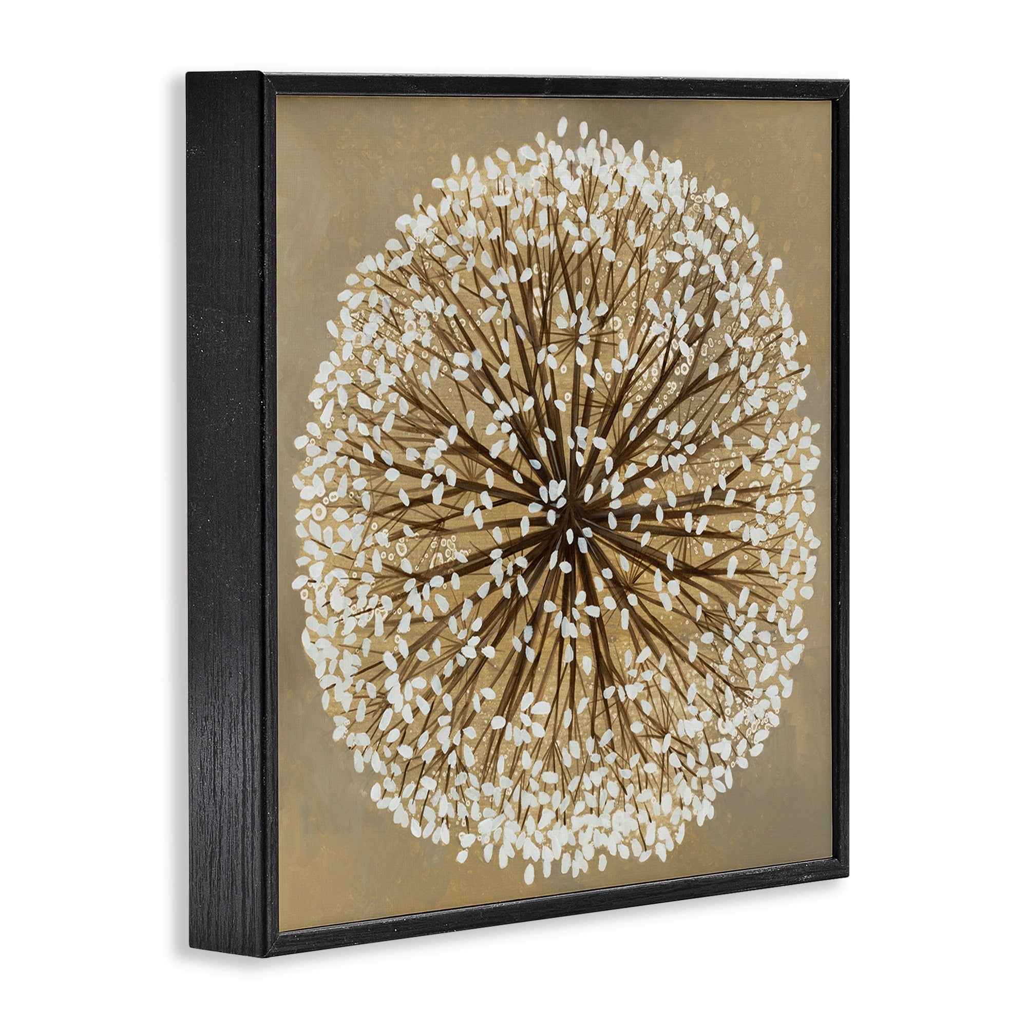 Stupell Industries Abstract Dandelion Flower Full Bloom Brown White Framed Wall Art Design by Liz Jardine, 12" x 12", Black Framed