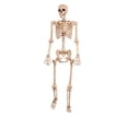 thumbnail image 1 of Crazy Bonez Squelette de Pose-N-Stay, 1 of 4