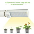 thumbnail image 3 of Lampe pour Plantes 45 W, Lampe de Croissance à Spectre Complet à DEL pour Plantes d'Intérieur, DEL Blanches, Lampe de Croissance pour Plantes avec Double Tête, Col de Cygne Réglable à 360° pour Serre et Succulentes, 3 of 10