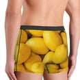 thumbnail image 5 of Naloa Ripe Yellow Lemon Print Mens Underwear - Boxers for Men, Classic Briefs for Men, 5 of 9