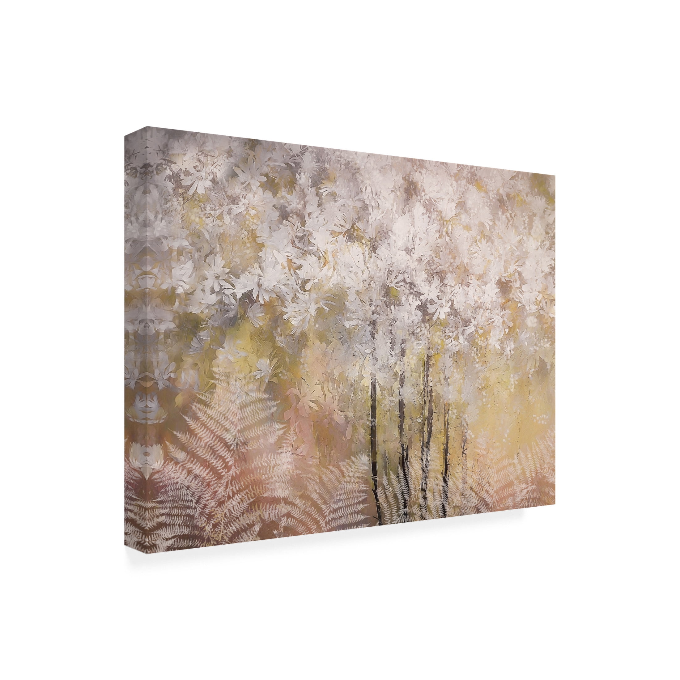 Trademark Fine Art Nel Talen Spring feeling Canvas Wall Art