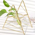 thumbnail image 4 of Plant Terrarium with Metal Stand, Air Planter Bulb Glass Vase, Geometric Metal Frame Vase for Hydroponic Plant Propagation Home Office Decor, 4 of 4