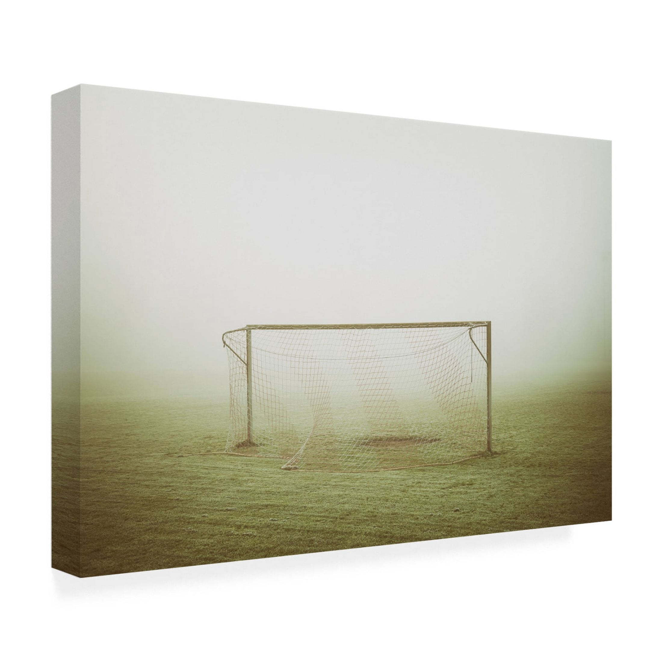 Canvas Wall Art - Jurgen Hartlieb 'Fog Play' Wall Art for Living Room, Bedroom, or Office Décor by Trademark Fine Art - 24 x 16 Inches
