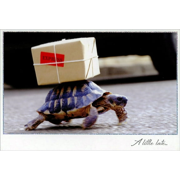 Pictura Turtle Carrying Express Package on Shell Belated Birthday Card