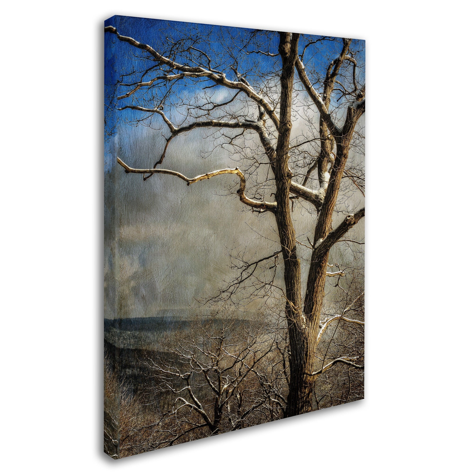 Trademark Fine Art "Tree In Winter" Canvas Art by Lois Bryan