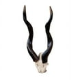 thumbnail image 2 of Design Toscano Kudu African Wall Trophy, 2 of 2