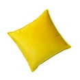 thumbnail image 1 of Inteprter Funda de cojín de asiento Color sólido Funda de almohada y resistente Amarillo Type2 NO2, 1 of 6