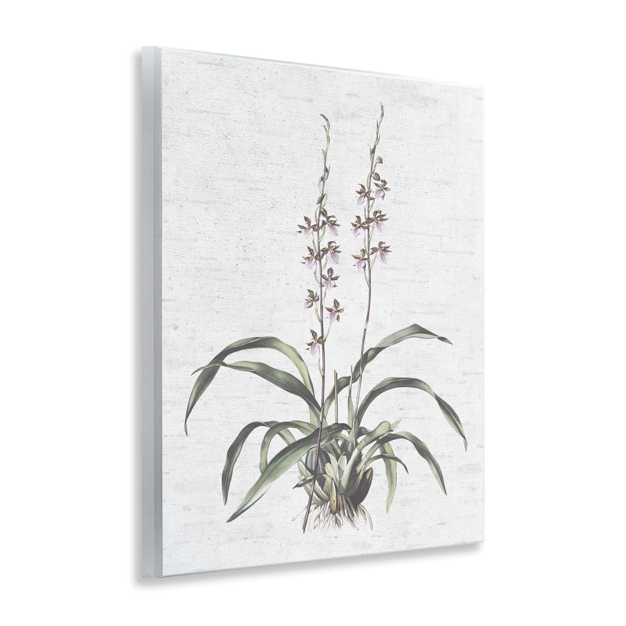 Stupell Industries Blooming Herb Bud Botanical & Floral Painting Unframed Art Print Wall Art, 11 x 14