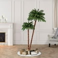 thumbnail image 6 of Puleo International 3.5 ft./6 ft. Pre-Lit Artificial Palm Tree with 175 UL-Listed Lights, 6 of 6