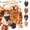 A002- Orange, variant on Halloween Dog Bandana, Halloween Dog 27 Inch Bandana for Dogs Halloween for Cats Cute Festive Pet Accessory for Fall Halloween Parties Multi Pattern Colorful Design, 1 Pack