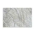 thumbnail image 2 of Gango Home Decor Weathered Wood II by Kathy Mahan (Printed on Paper); One 36x24in Fine Art Paper Giclee Print, 2 of 4