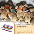 thumbnail image 4 of Becaristey 15 Pièces Élastique Chiot Collier Identification des Animaux Colliers Léger Coloré Réutilisable Marquage Corde Corde Chien M 1Set, 4 of 6