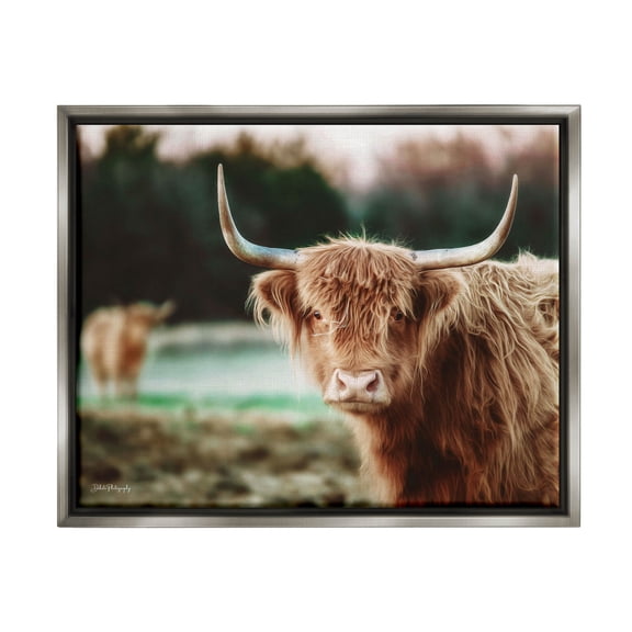 Stupell Industries Highland Cattle Gazing Photography Photograph Luster Gray Floating Framed Canvas Print Wall Art, Design by Dakota Diener