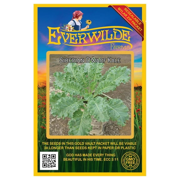 Everwilde Farms - 1000 Siberian Dwarf Kale Seeds - Gold Vault Jumbo Bulk Seed Packet