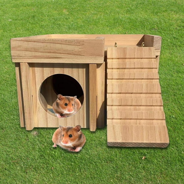 Hamster house on sale walmart