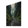 thumbnail image 2 of Designart "Muddy Pathway in Olympic National Park, USA" Landscapes Print on Natural Pine Wood, 2 of 5