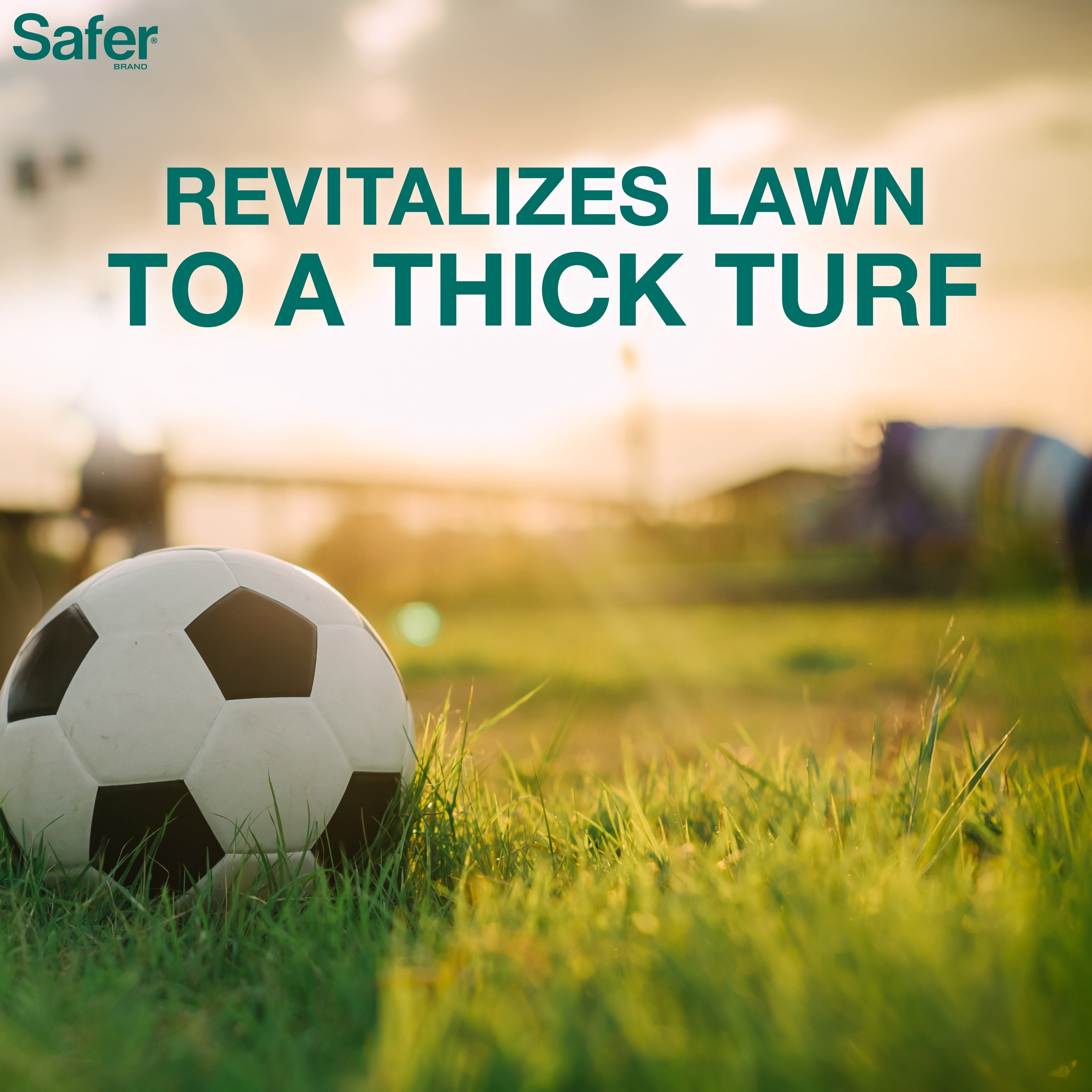 Safer Lawn Restore Lawn Food - 20 lbs.