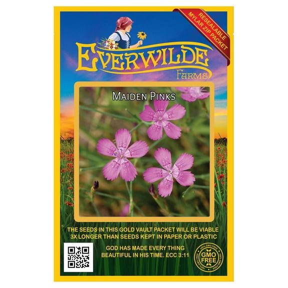 Everwilde Farms - 2000 Maiden Pinks Garden Flower Seeds - Gold Vault Jumbo Bulk Seed Packet