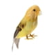 thumbnail image 1 of Adornos de pajaritos artificiales 5 '' Taxidermia Árbol # 11 Gloria Pájaros de la pluma, 1 of 7