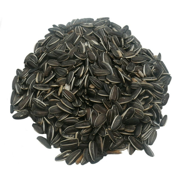 Graines de tournesol noires pour oiseaux, 18 kg
