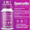 (2 Pack) Quercetin with Bromelain Vitamin C Zinc Elderberry 1000mg