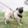 thumbnail image 2 of 9.8FT Dog Tie Out Cable Long Dog Leash Chew Proof Lead Dog Chain with Durable Spring 360° Rotatable Clips PVC Case for Outside Yard Camping  Red, 2 of 12
