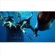 thumbnail image 4 of 8 Piezas Juguete de NatacióN para Niños, Forma de TiburóN, Juguete de Buceo, Juego de Agua, Juguete de Buceo, Piscina, Deslizamiento, TiburóN, Lanzamiento de, 4 of 5