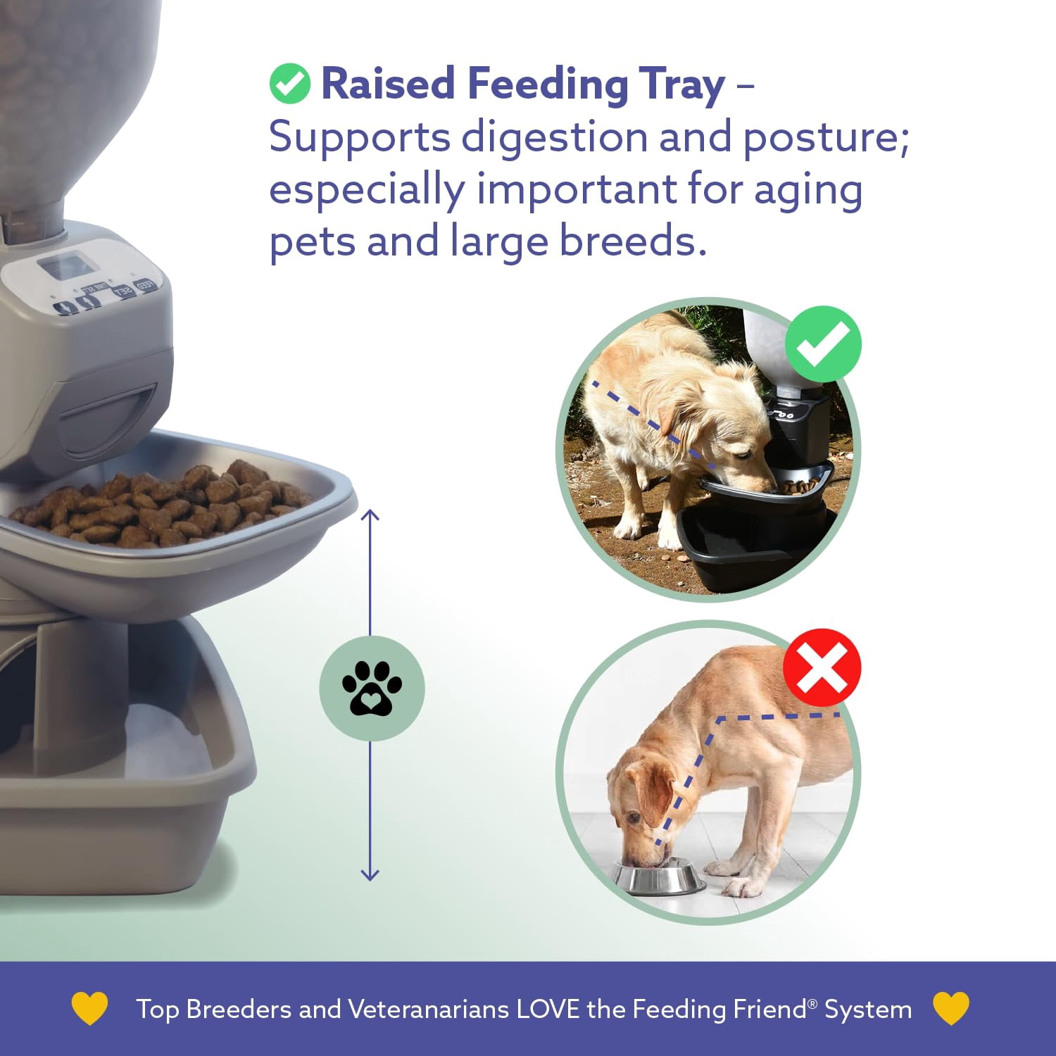 Feeding Friend® Automatic Dog & Cat Food Feeder with Water Dispenser –Smart Pet Feeder with Portion Control,OLED Display, Anti Jam Design, Battery Operated Dispenser for Small - (XS)  Pets 4-15 Taupe