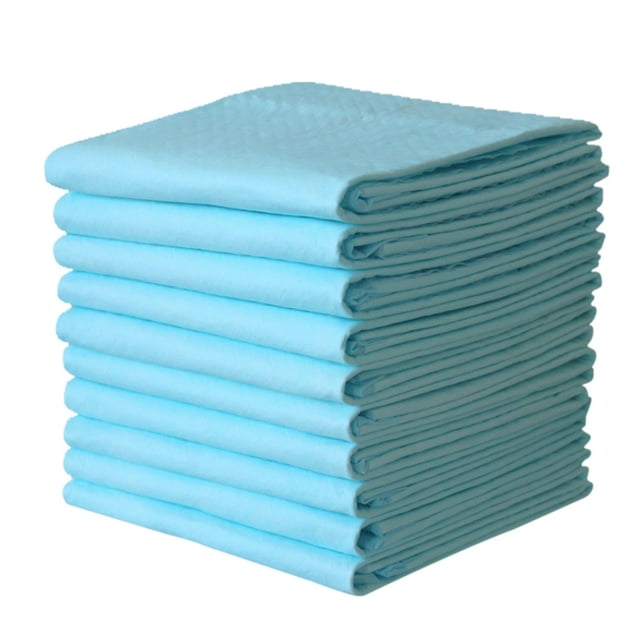 10pcs Perry Pee Pead Subvencor Hoja protector Anciana Almohadilla Desechable Mat