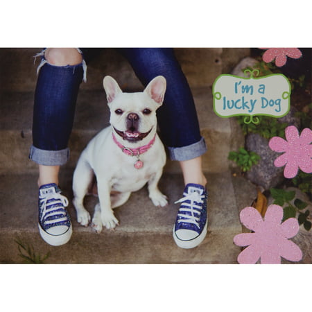 Lucky Dog To Have A Friend Greeting Card