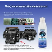 DWD2 Clean Air Premium Automotive Evaporator Cleaner - Unscented